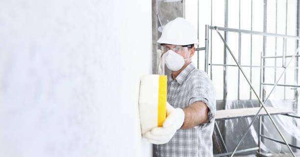 Best Mold Removal for HVAC Installations  in Sea Breeze, NC